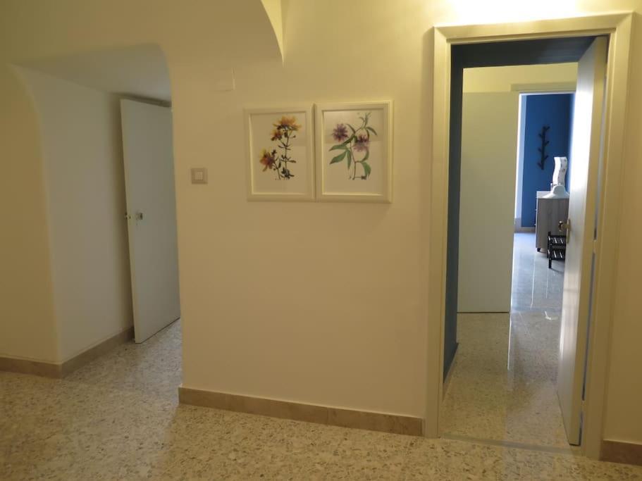 Stesicoro-Duomo Elegante Appartamento In Centro 卡塔尼亚 外观 照片